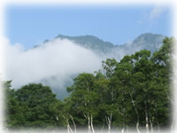 2007年(第9回)